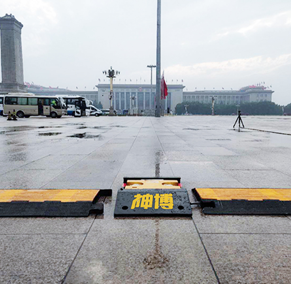 Shandong Seenboom